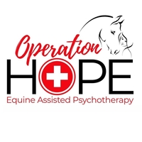 Operation Hope - Equine Assisted Psychotherapy