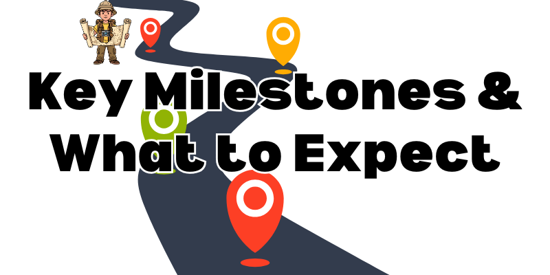 Key Milestones & What to Expect