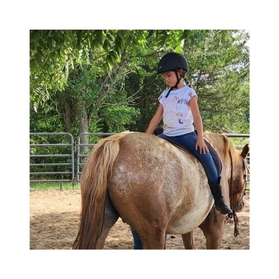Hope In Her Eyes Equine Facilitated Wellness
