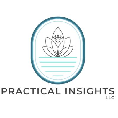 Practical Insights, LLC